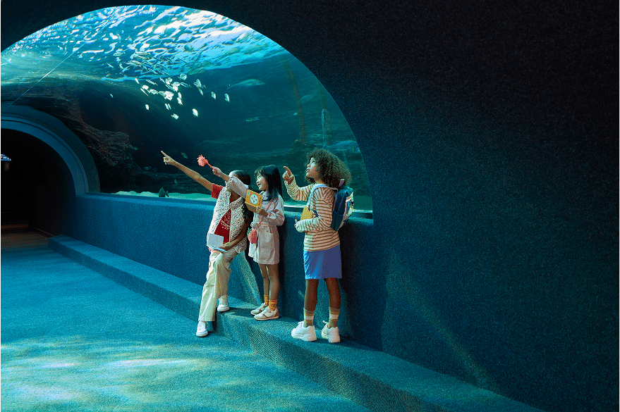 250307_VandA_Kids_Aquarium_066 1
